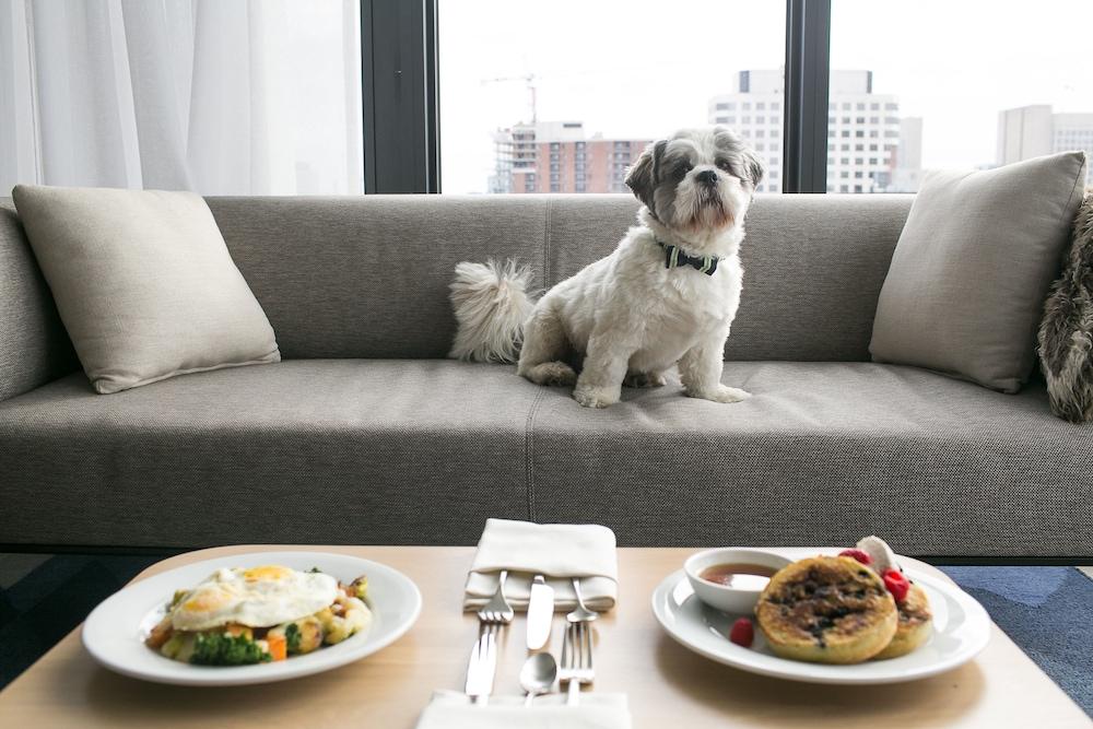 Andaz Ottawa Byward Market, By Hyatt Bagian luar foto